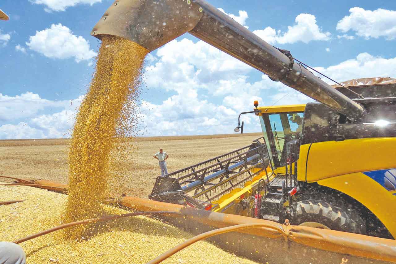 J&M Trading - Commodities: Soja